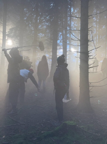 Nebel Wald